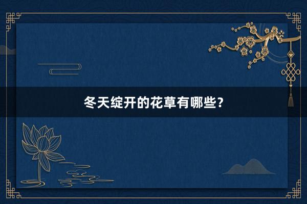 冬天绽开的花草有哪些？